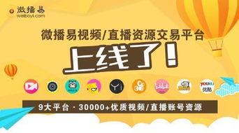 约网红价格,价格背后的秘密与策略