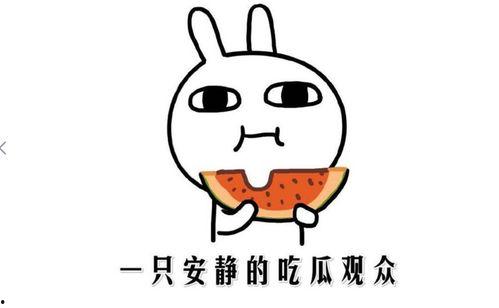 网络中的吃瓜是什么意思,吃瓜群众的趣味与智慧